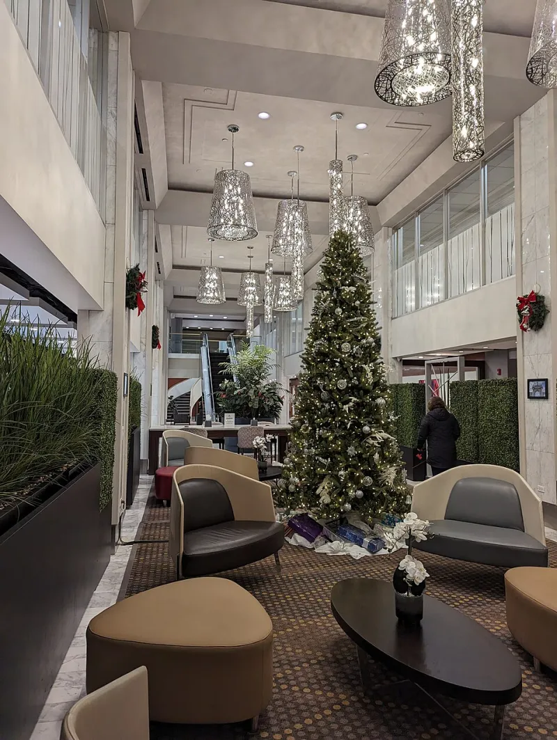 Festive Feasting and Fading Efficacy: How Canadian Holiday Season Habits Quietly Undermine Your Prescriptions