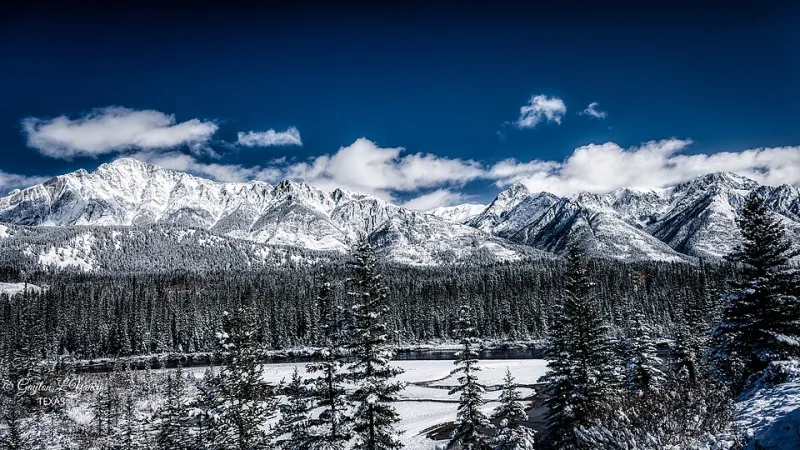 How Canada's Seasons Shape Your Medication Needs—And What to Do About It